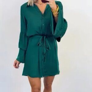 Naked Zebra Green Button Down Dress
